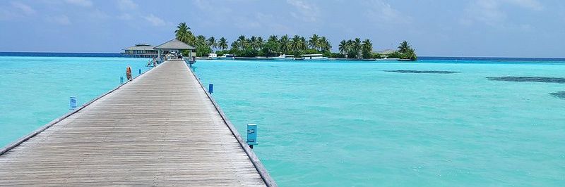 FalkCornelia's profile banner image