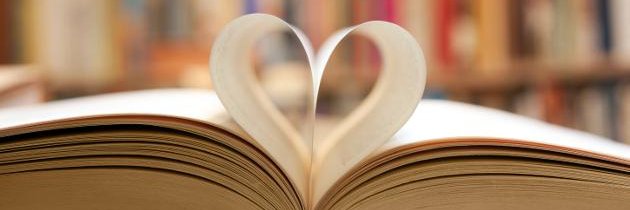 fernand57326831's profile banner image
