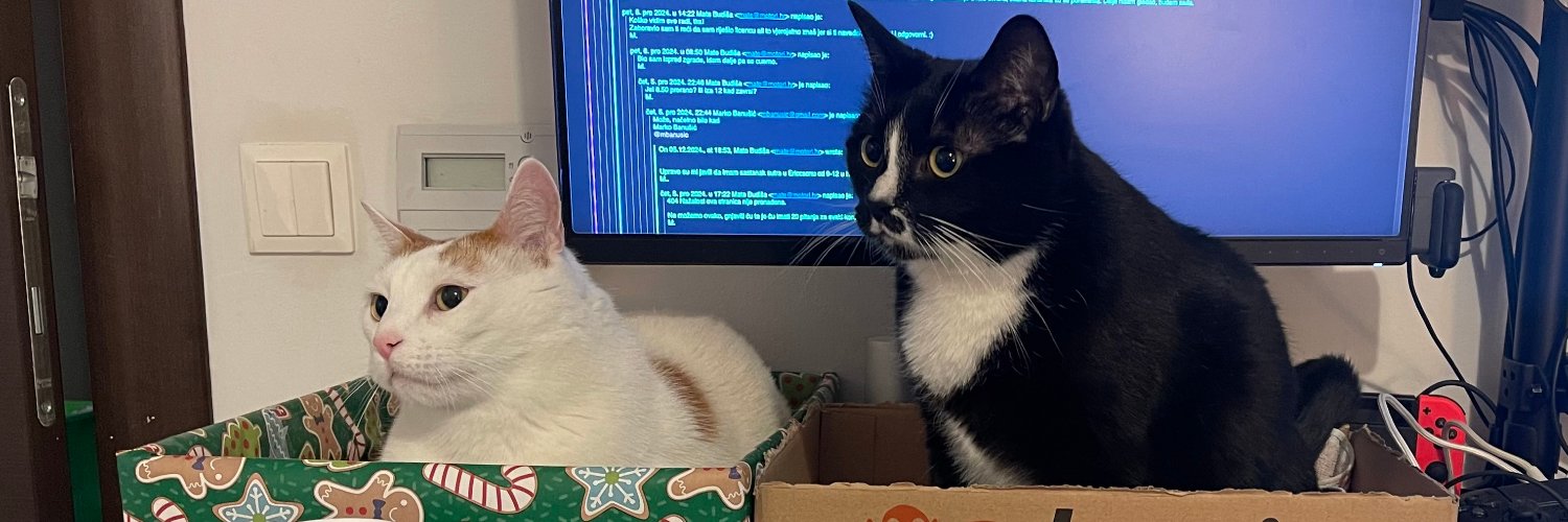 mbanusic's profile banner image