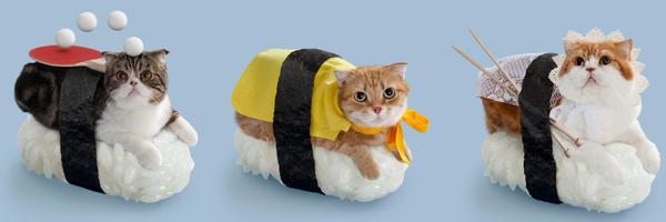 adamewood Profile Banner