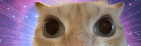Pix banner