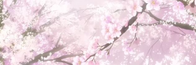 xirius banner