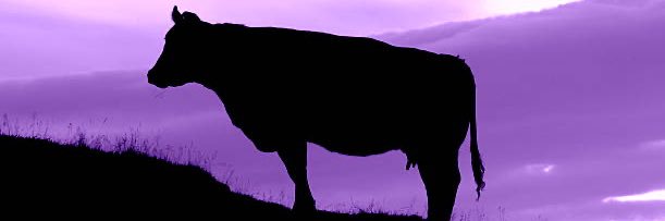 moooooooooonad's profile banner image