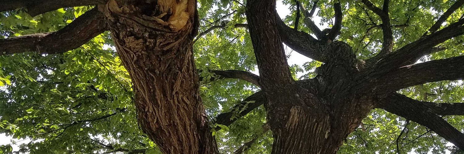 THEphilipbright's profile banner image