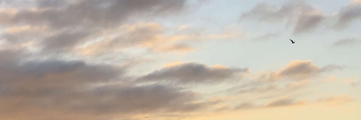 claudiarome_'s profile banner image