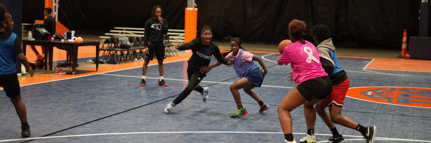 TDA Lady Hoops banner