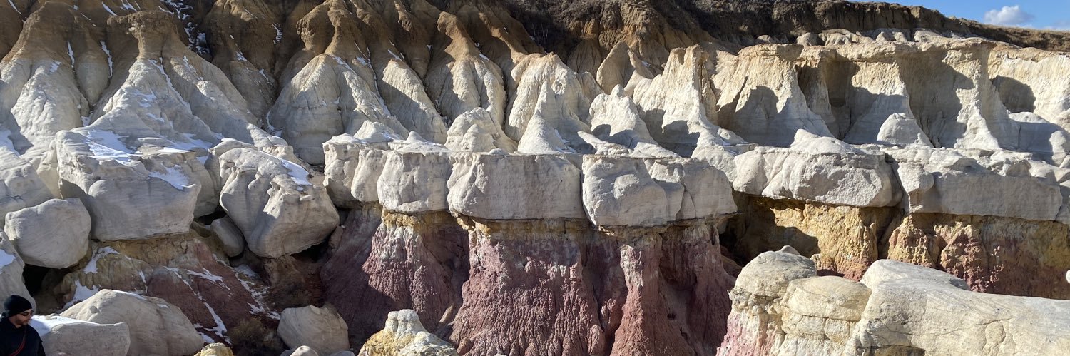 🇺🇸🐝🦋Whippoorwill🦋🐝🇺🇸 banner