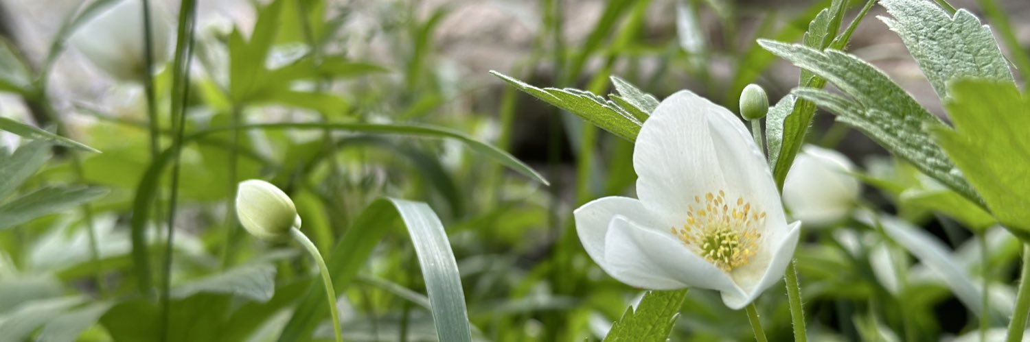 C1C's profile banner image