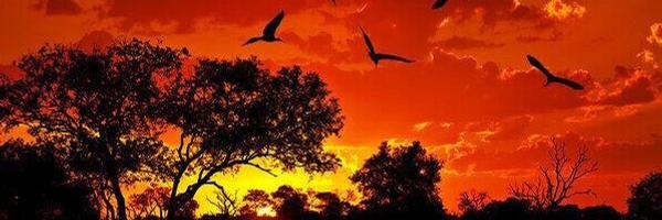 jimenez83david Profile Banner