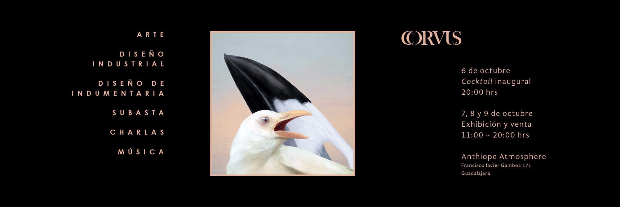 CorvusMx's profile banner image