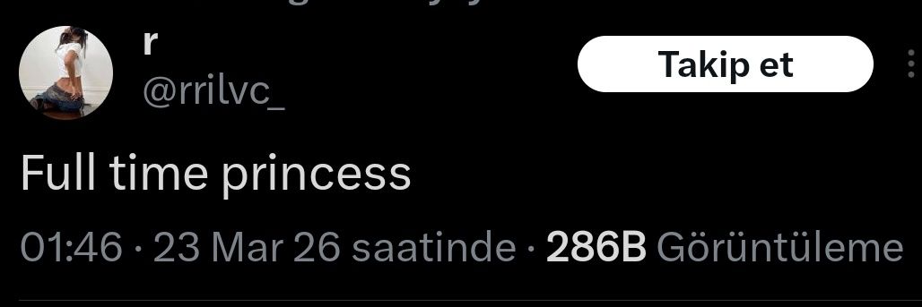 ⋆.˚ ☾⭒.˚ banner