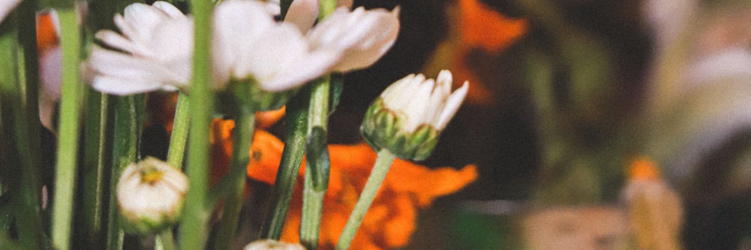 mjkd_q09's profile banner image