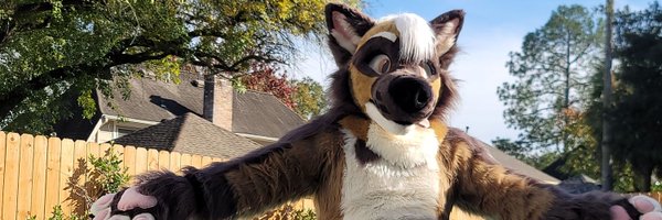 kingwizardwolf Profile Banner