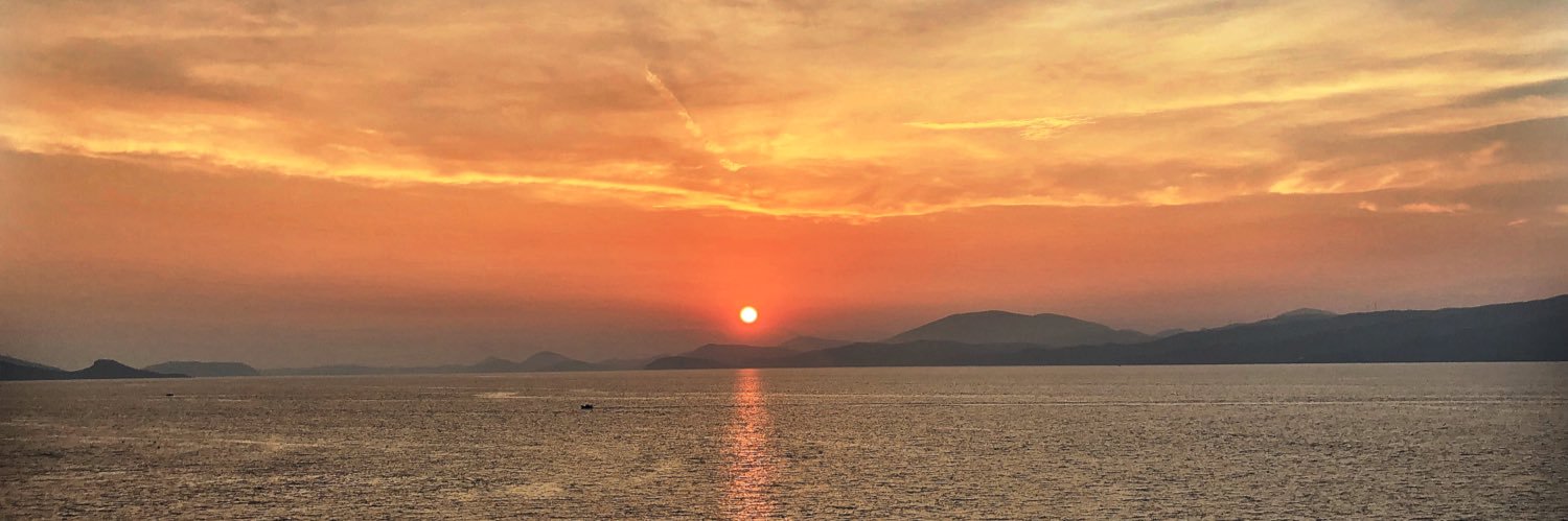 Afrodite Skaouris Kotur banner