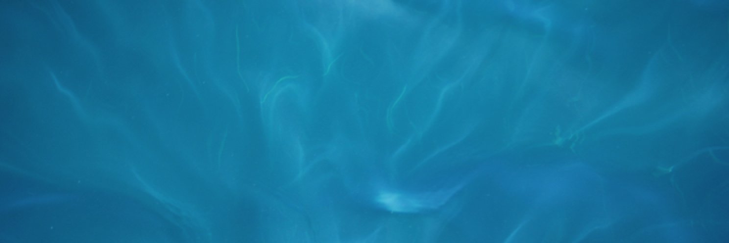 philipwhale's profile banner image