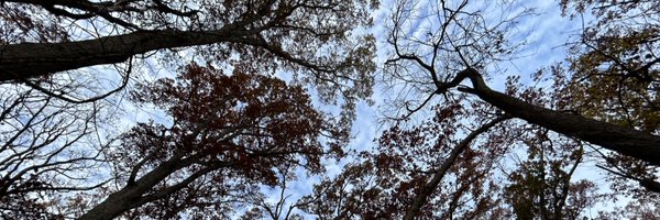 uglyhug_records Profile Banner