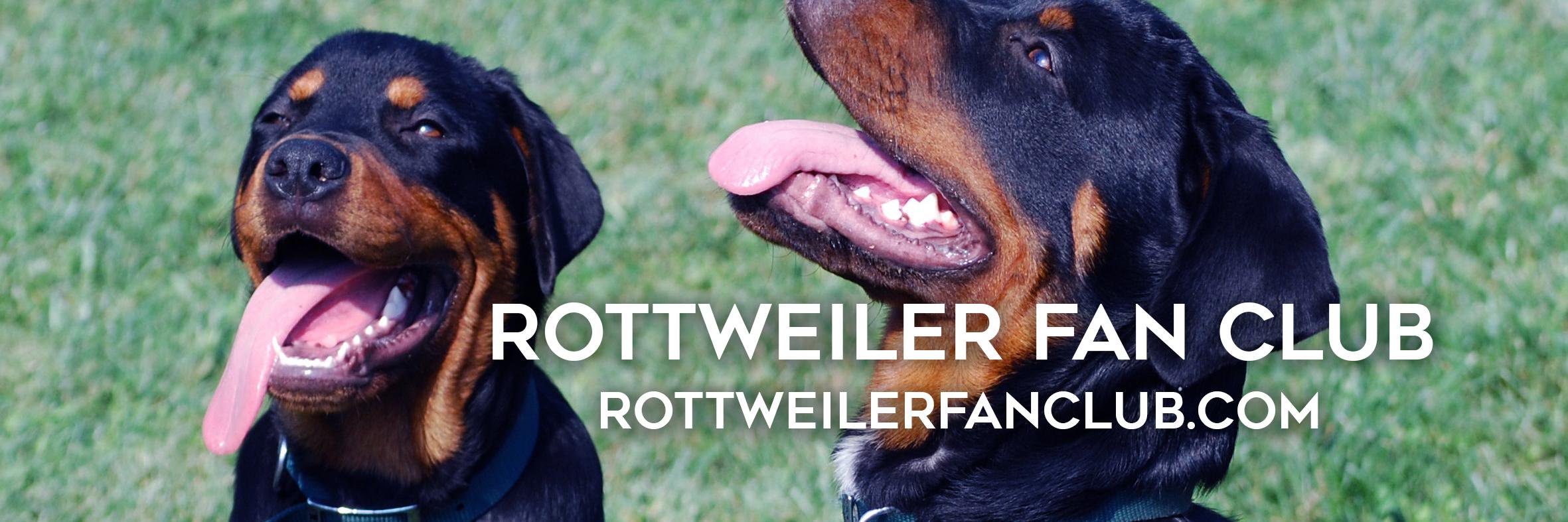 RottieFanClub's profile banner image