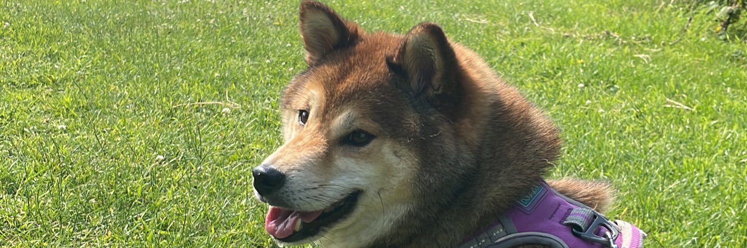 George Bennett banner