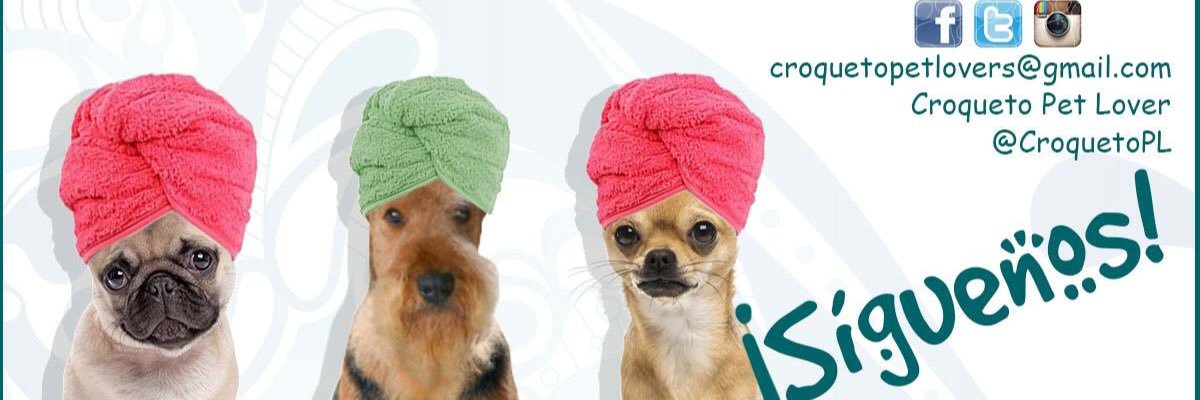 CroquetoPL's profile banner image