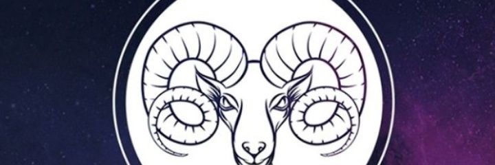 VickiVicari's profile banner image