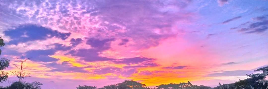 mmulya12's profile banner image