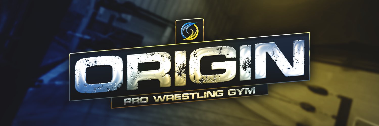OriginSOVPRO banner