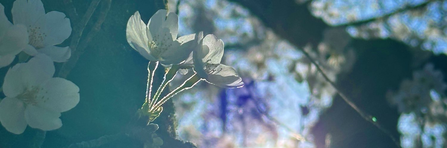 c_sanpo's profile banner image