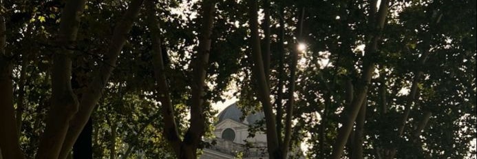 Fauna🏳️‍⚧️ banner