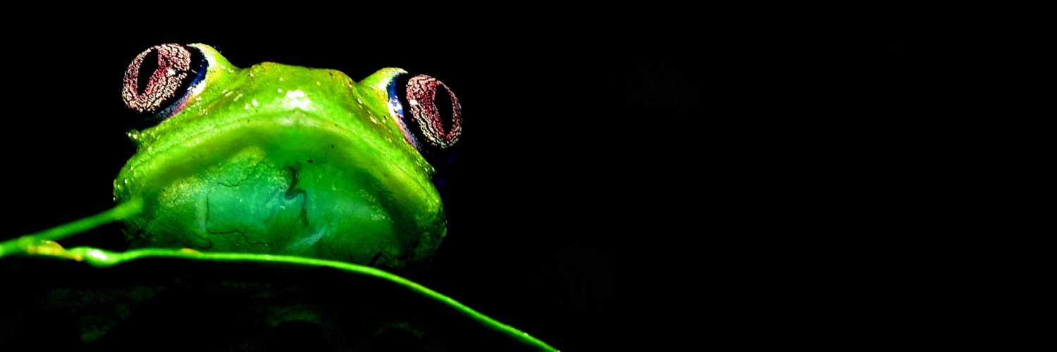 SClimateCoffee's profile banner image