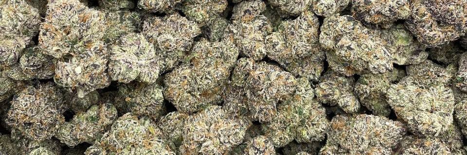 Dexstarr🌿🏂🏾 banner