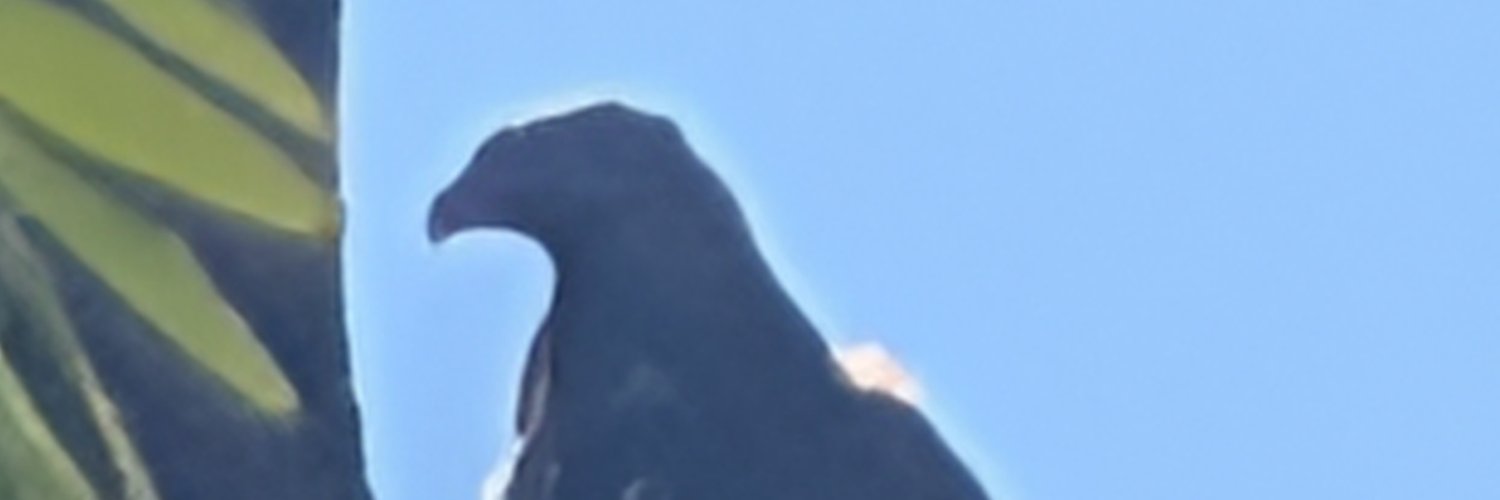 MikeCompsci's profile banner image