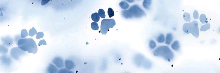 ➤ 𝙹ªყ•𝙹𝚊ƴ .ᐟ.ᐟ ᯓ★ banner