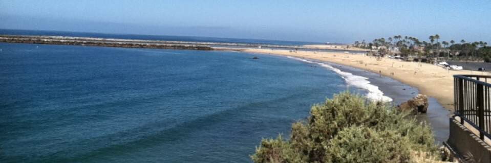 Algernon  Fross banner