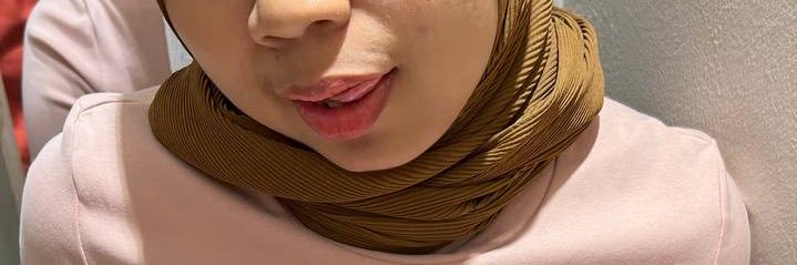 princess deena banner