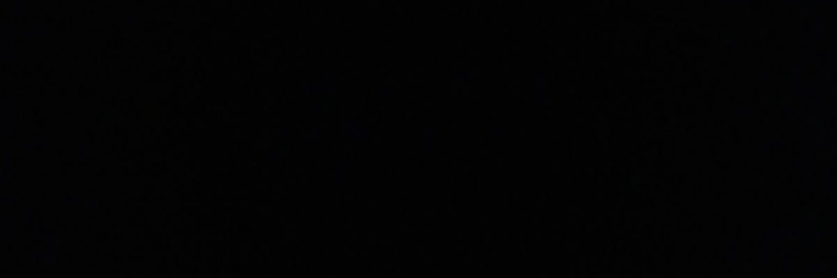 lauren ꨄ︎ banner