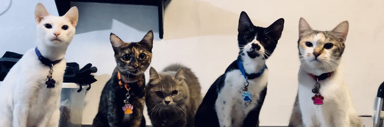 𝖘𝖊𝖑 ❀⋆ʚɞ ⁺˖ banner