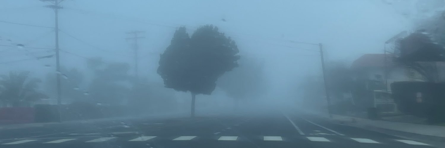 … banner