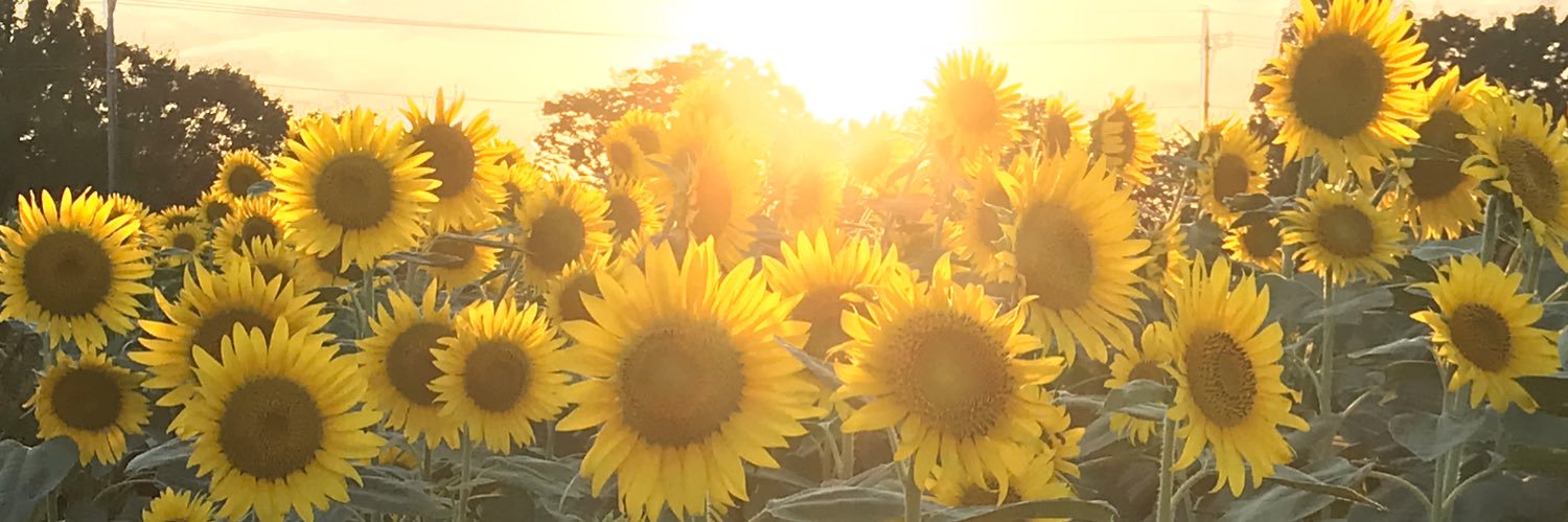 やすりん@もも組🍑ClariSZepp大阪ベイサイド(○･▽･○)♡ banner