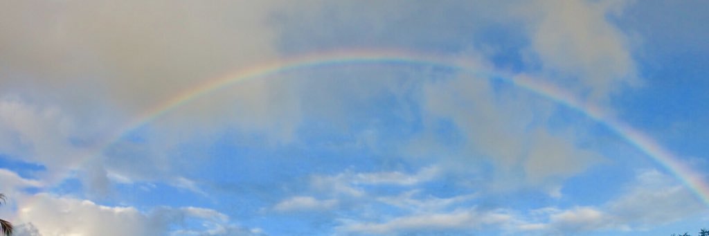 one1over's profile banner image