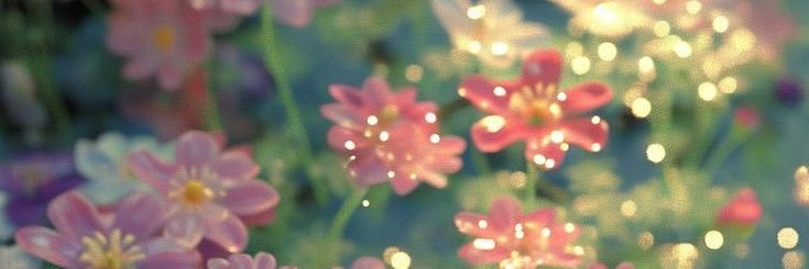 fallininluvvv's profile banner image