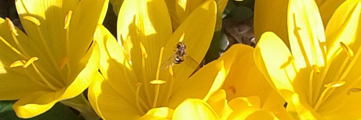 martina_tilli's profile banner image