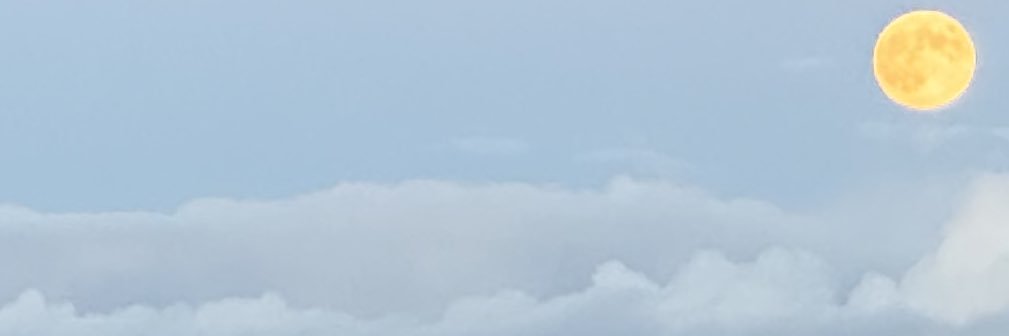 IBOnTheWhat's profile banner image
