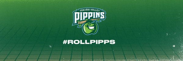 PippinsBaseball Profile Banner