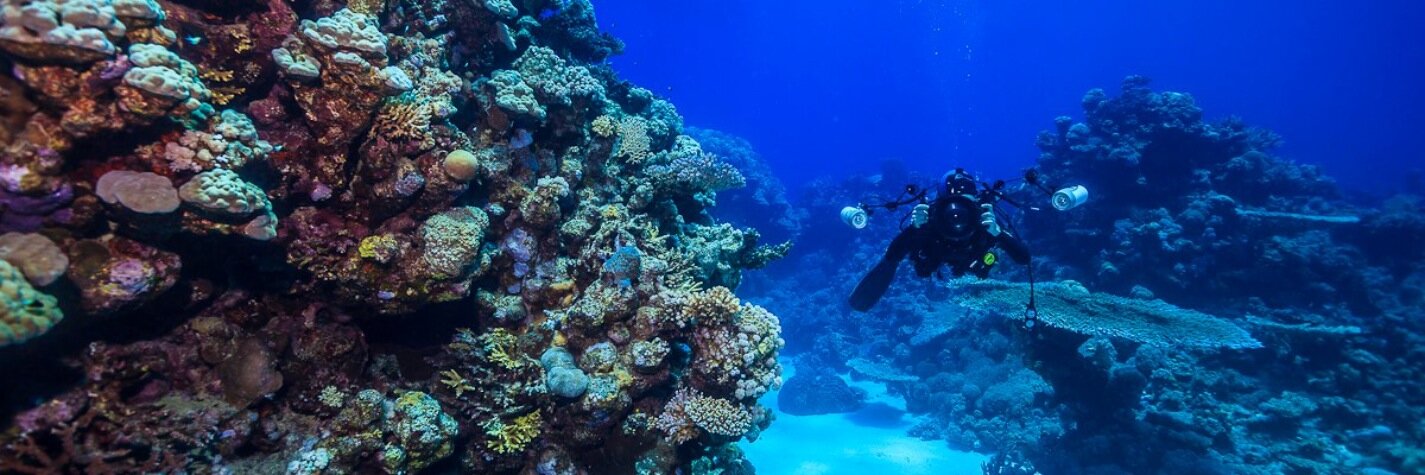 Simon Thorrold banner