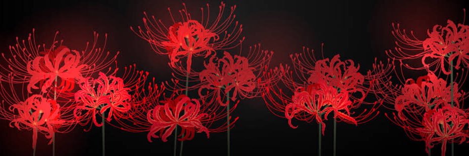 jus__tt's profile banner image