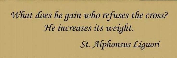 🇻🇦BigSteveOG banner