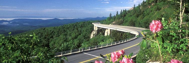 Sir Stromming banner