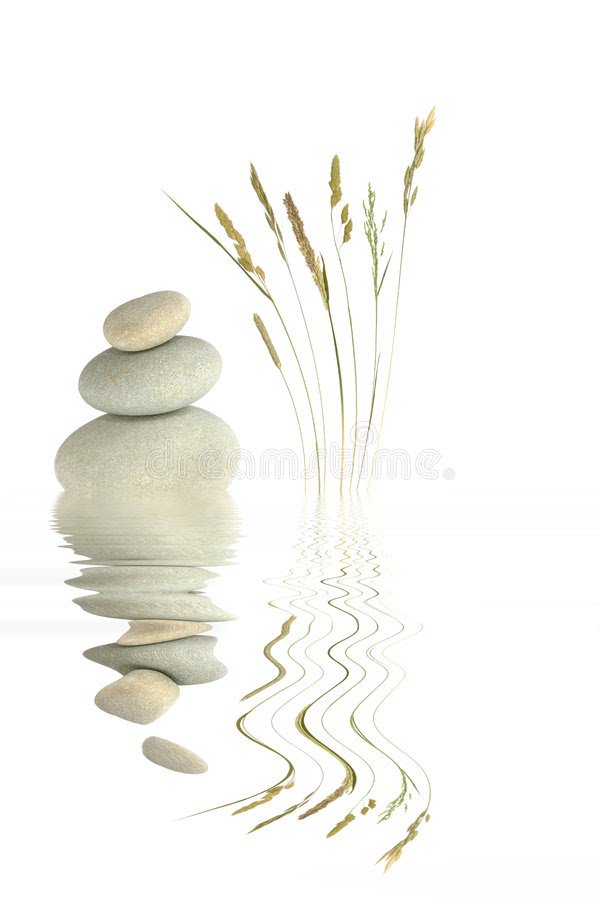 Limerick Tai Chi banner