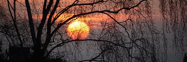 howtorganize's profile banner image