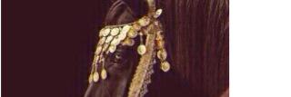aleah banner